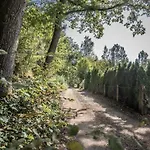 Behagliches Zum Kuscheln Und Entspannen Nyaraló Rothenbuch